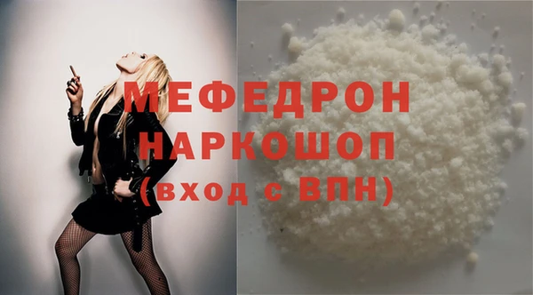 индика Вяземский