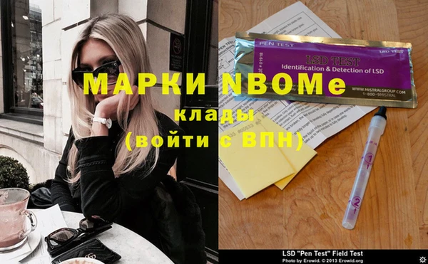 индика Вяземский