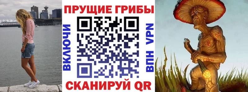 Псилоцибиновые грибы Magic Shrooms  Купить  Бикин 